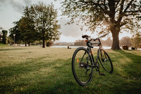 bike in the sunset