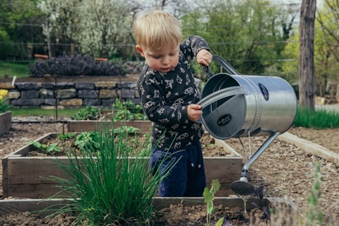 child water garden