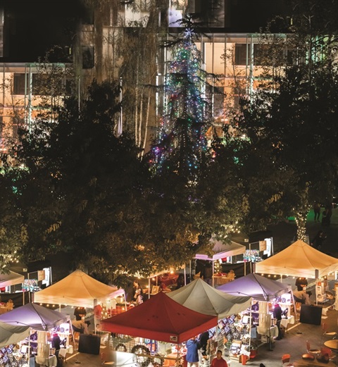 tree lighting in city square