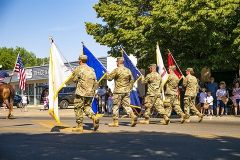 veterans holding flags in a parade