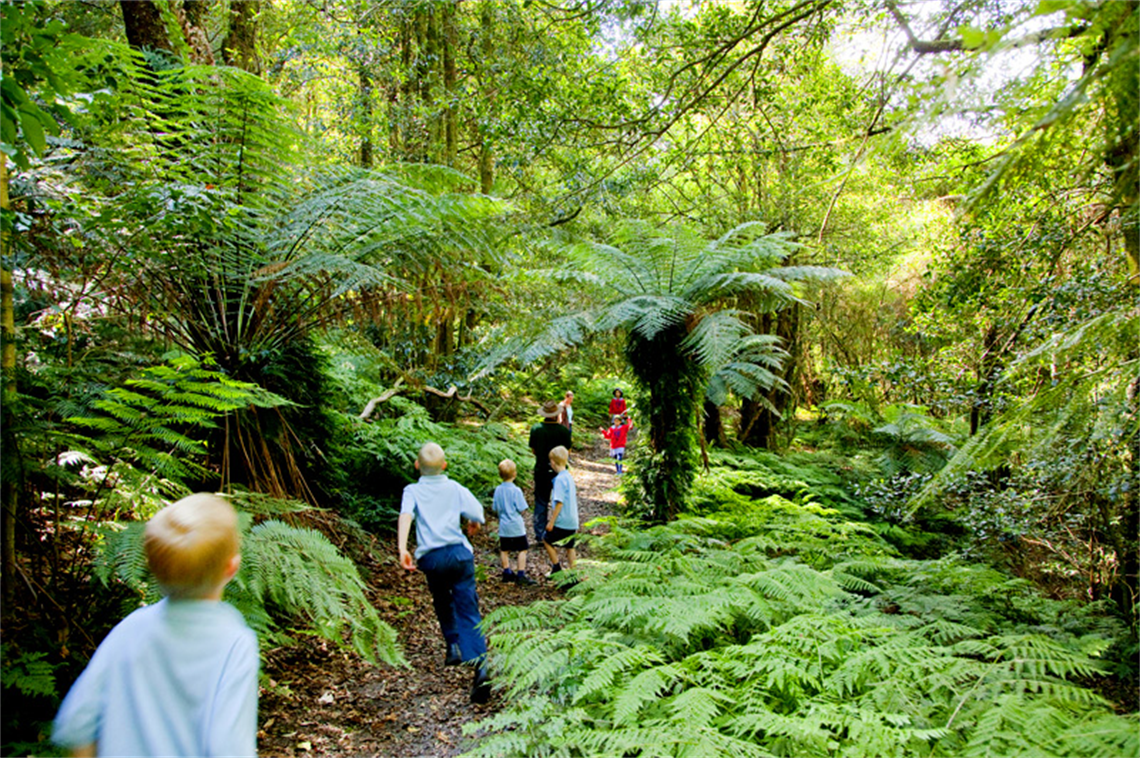 Mount Tomah Walking Track